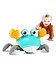 Crawling Crab Baby Musical Toy - Image 4